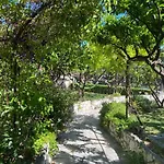 Terrace Daire Hvar Town
