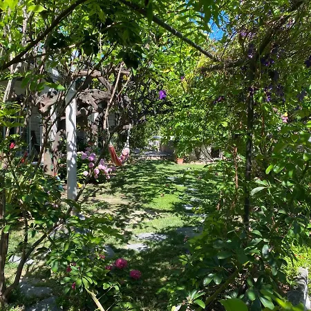 Terrace Appartement Hvar Town