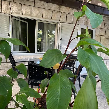 Appartement Terrace *