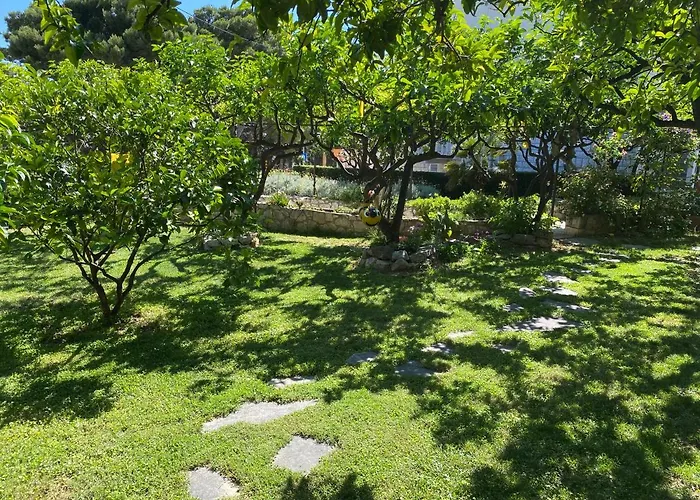 Apartment Terrace Hvar Town