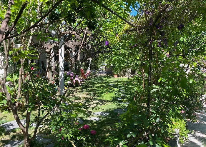 Terrace Apartment Hvar Town