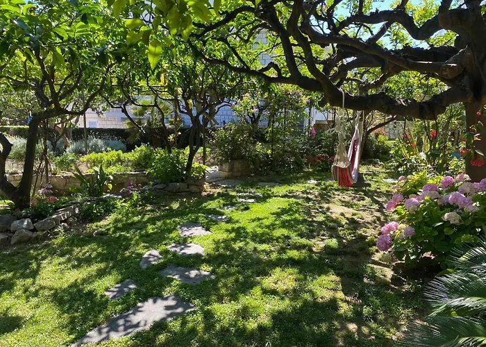 Apartment Terrace Hvar Town