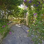 Apartment Terrace