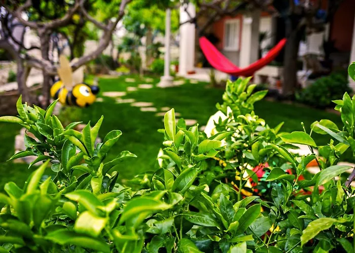 Terrace *
